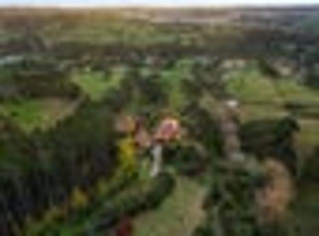 Country Views, Provincial Charm Home & Cottage!