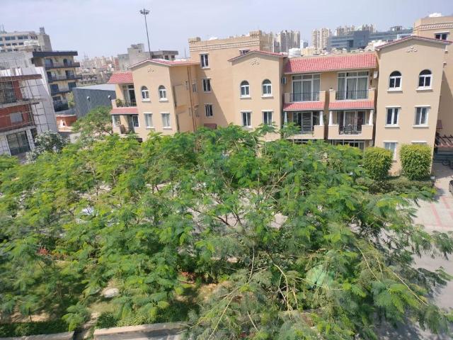 Countryside Prime Residences 3 Bedroom 179 Sq. Yd. Builder Floor in Sector 65 Gurgaon Listing ID: #10414