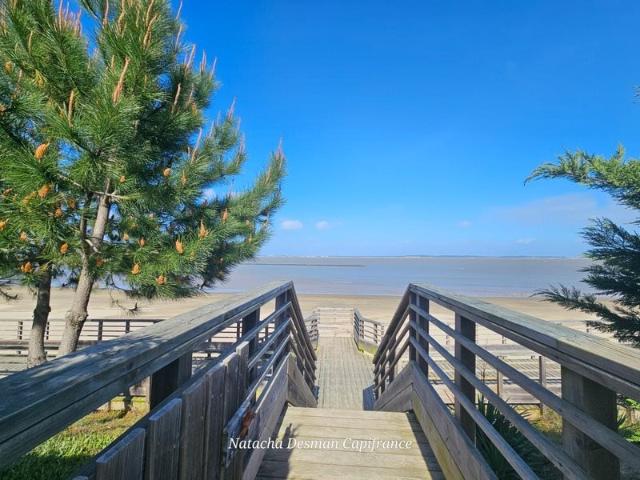 ✨ Coup De Cœur – Chalet Récent Type 2 Avec Vue Exceptionnell. 40m² Le Verdon sur Mer