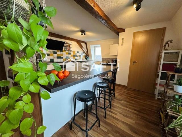 Coup de coeur, superbe duplex 4 pièces à HILSENHEIM