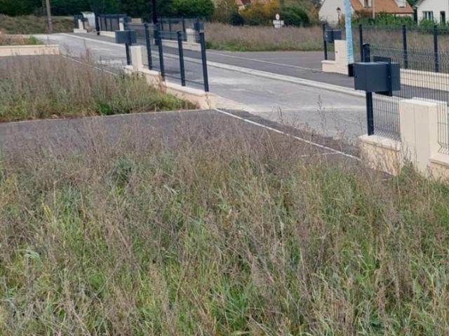 Courances Vente Terrain 91