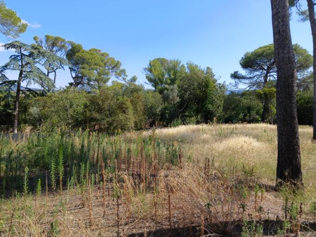 Cournonsec Vente Terrain 34