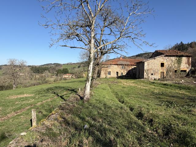 Cours la Ville Vente Maison 69