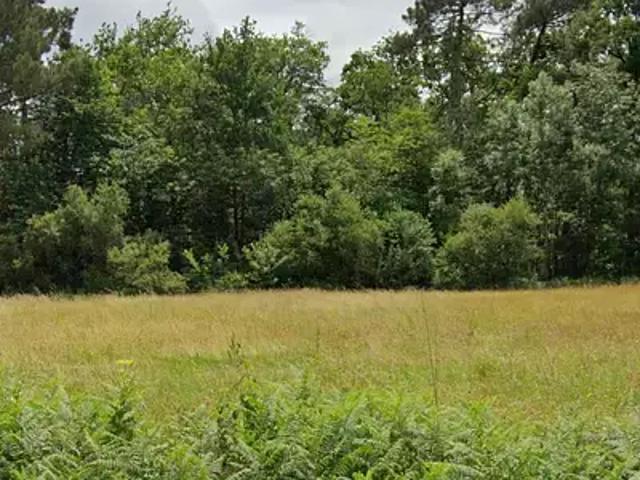 Coursac 24430 Programme neuf terrain neuf à vendre