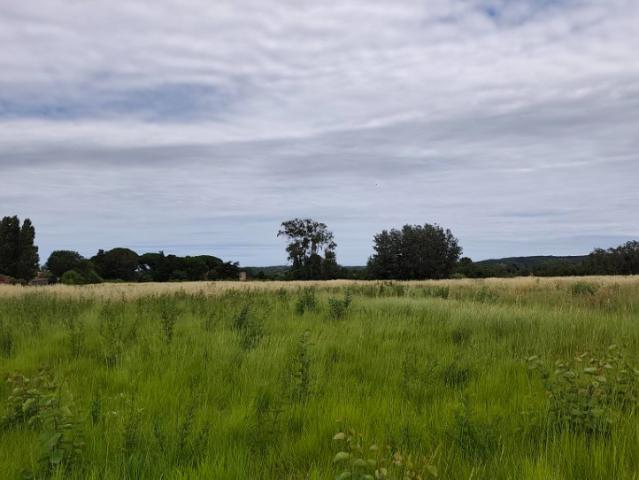 Coursan Vente Terrain 11