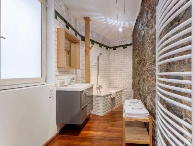 Coursive Near the Saone quay very spacious apartment with balcony