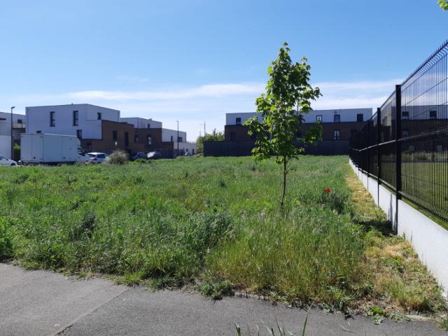 Courrières Vente Terrain 62