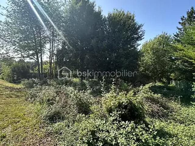 Courtenay 45320 Achat / Vente terrain