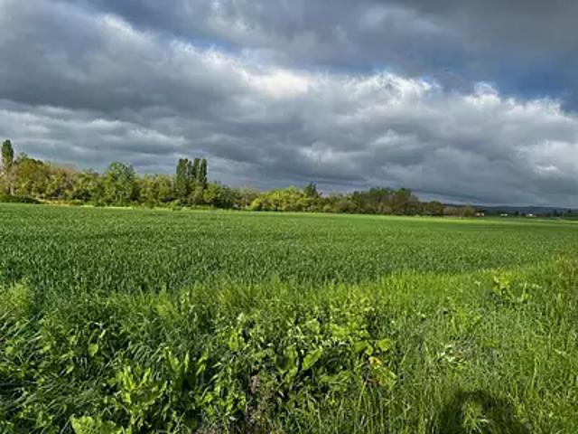 Coussay les Bois 86270 Programme neuf terrain neuf à vendre