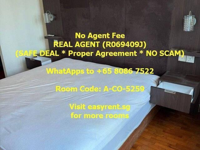 Cove MRT Master Room