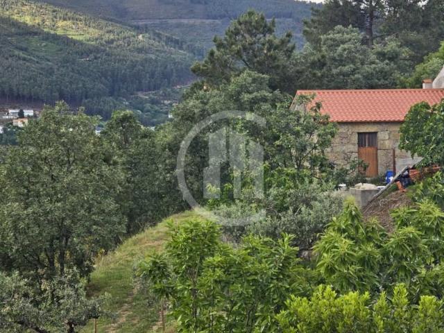 Covilhã Covilhã LS102527473