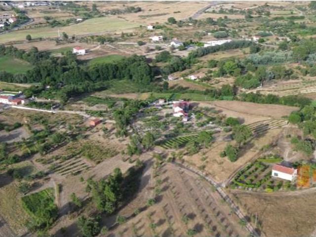 Covilhã Covilhã 94468238