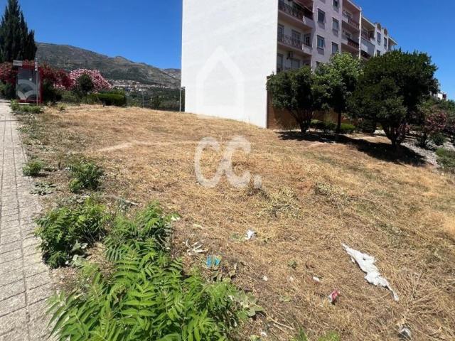 Covilhã Castelo Branco 104436363