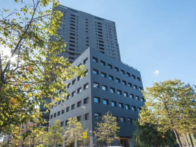 Coworking Diagonal, 351