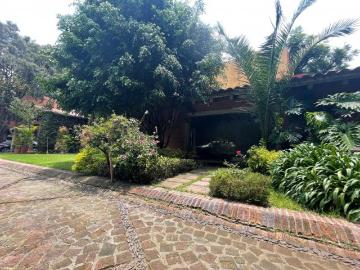 COYOACAN / Barrio San Lucas