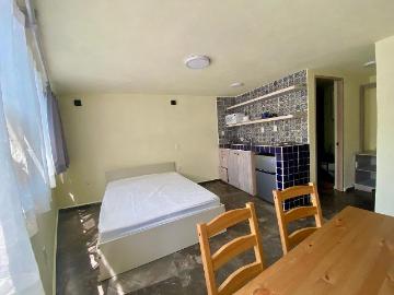 COYOACÁN, DEPARTAMENTO TIPO LOFT AMUEBLADO EN RENTA
