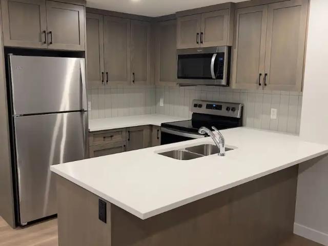 Cozy Modern Basement Suite in Rockland Park with In Suite Laundry