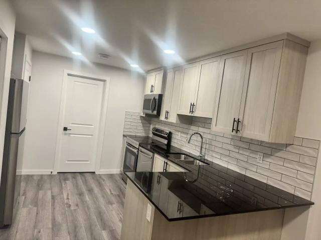 Cozy and Spacious 1 bed basement for rent at Creekstone