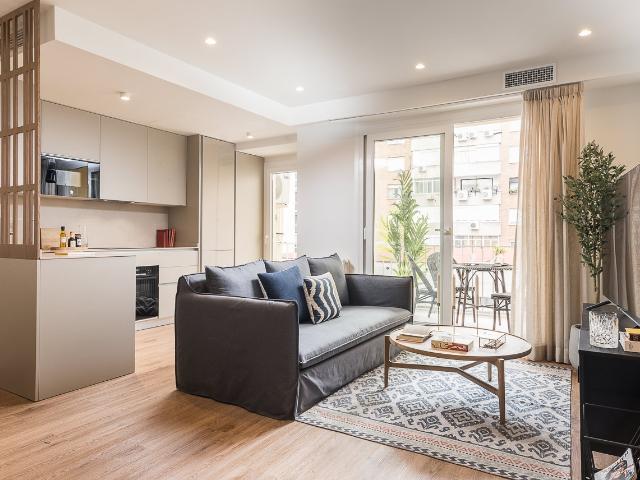 Cozy apartment in Almagro
