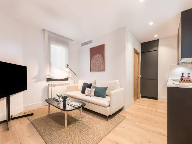 Cozy apartment near Retiro Park