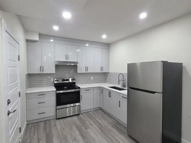 Cozy Brand new Walk Out Basement