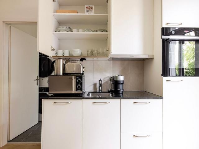 Cozy Furnished Studio Apartment in Seebach, Zurich Amsterdam Apartments for Rent