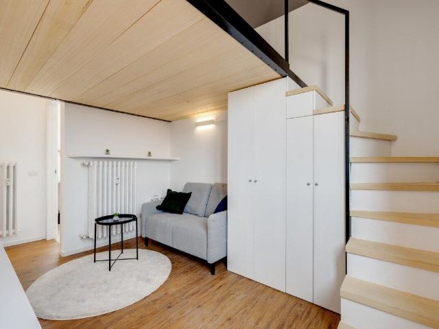 Cozy Penthouse 1, Milan Amsterdam Apartments for Rent