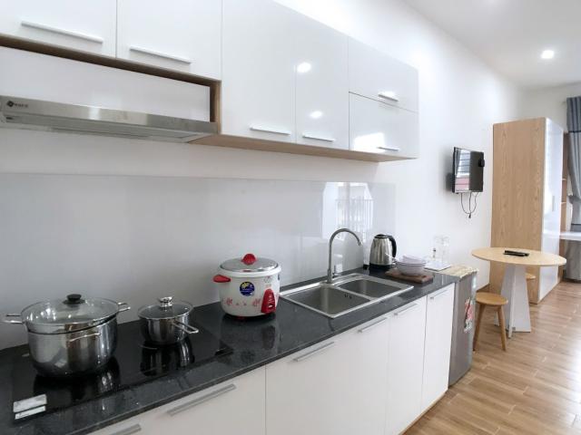 Cozy & Pet Friendly Studio for Rent – Truong Van Hien Street, Ngu Hanh Son, Da Nang