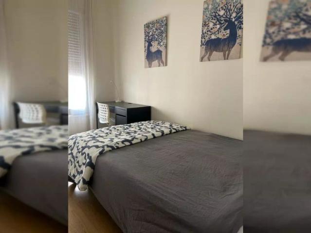 Cozy Room in shared apartment in Barrio Salamanca, Madrid