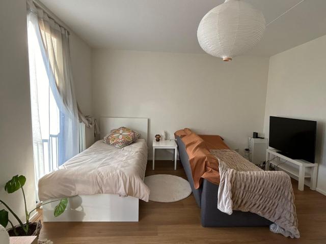Cozy room in Spacious female house Amsterdam