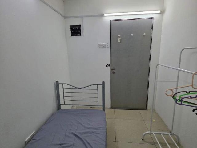 Cozy Room Looking for Tenant