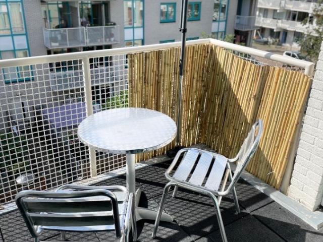Cozy room near Erasmus University