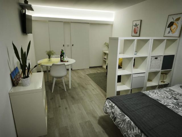 Cozy Studio with garden close to Metro Ramalde