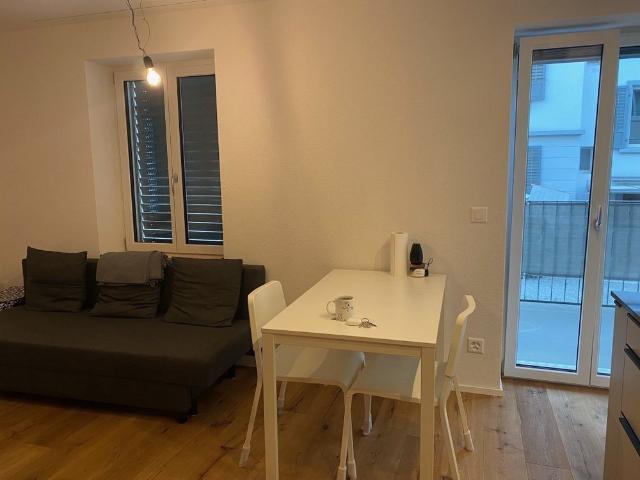 Cozy single apartment for rent