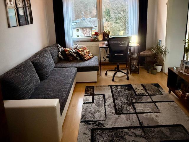 Cozy & Well Furnished Apartment in Göttingen for a lady, Gottingen Amsterdam Apartments for Rent