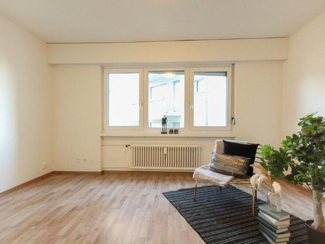 Cozy 1 bedroom apartment