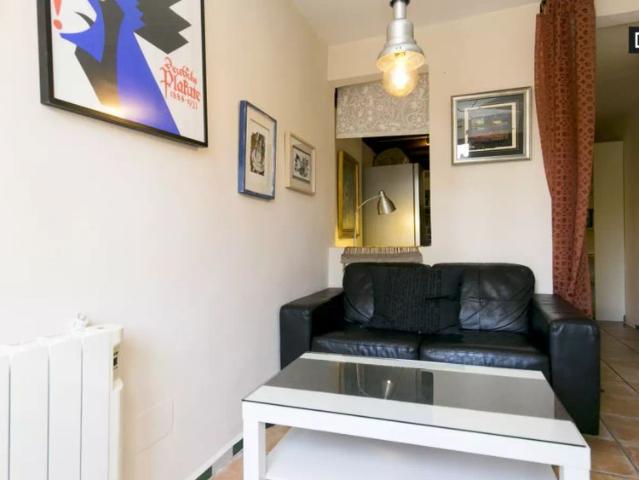 Cozy 1 bedroom apartment for rent near Palacio de los Cordova in Albaicín