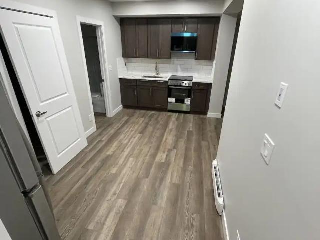 Cozy 1 bedroom basement suite