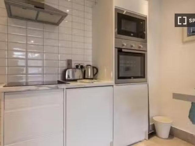 Just in! 1 BR Studio for rent in Southside, Dublin
