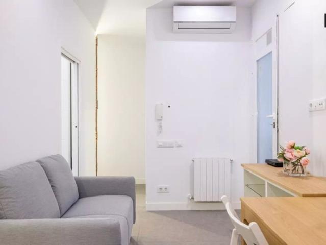 Cozy 2 bedroom apartment in Calle De Fernando Garrido