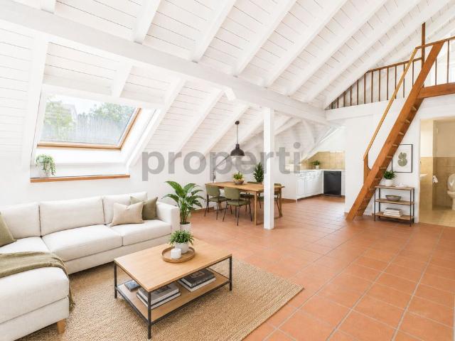 Cozy 4.5 room penthouse apartment with balcony in Beringen