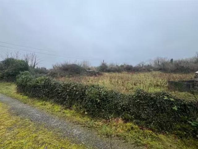 Cloonabinnia, Moycullen, Galway