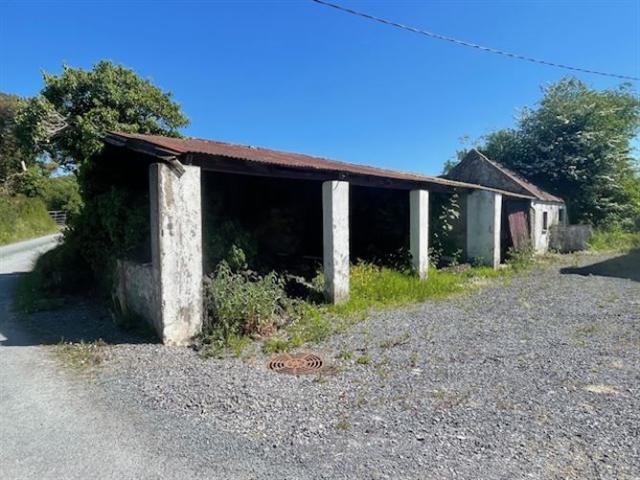 Clooncon East, Glenamaddy, Galway Paul Lafferty Ltd 4930 MyHome. Ie Residential