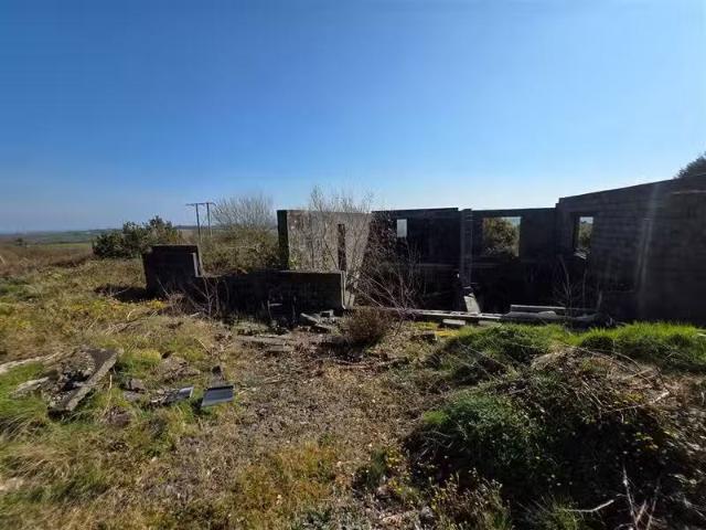 Cloongeel, Newmarket, Cork, P51 W0DC