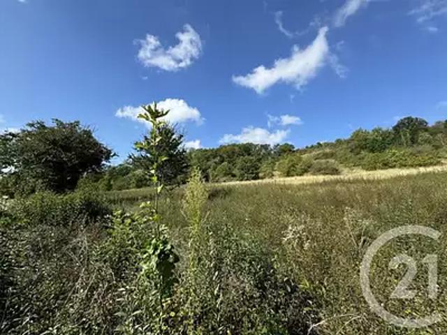 Clamecy 58500 Achat / Vente terrain