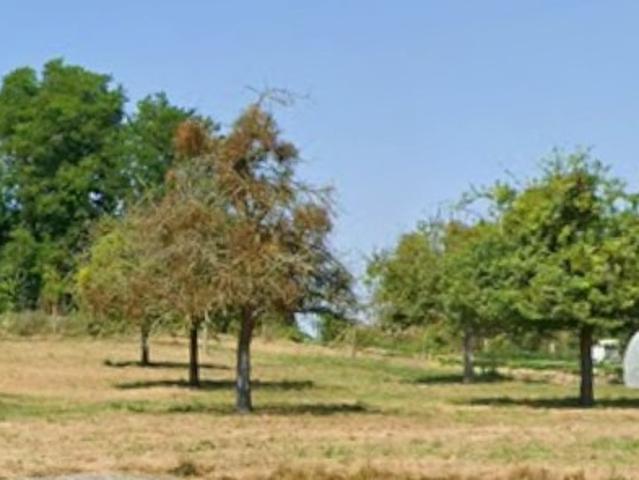Clarbec Vente Terrain 14
