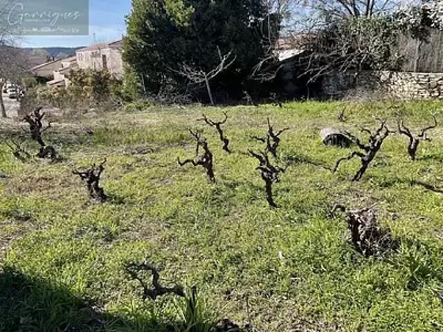 Clarensac 30870 Achat / Vente terrain