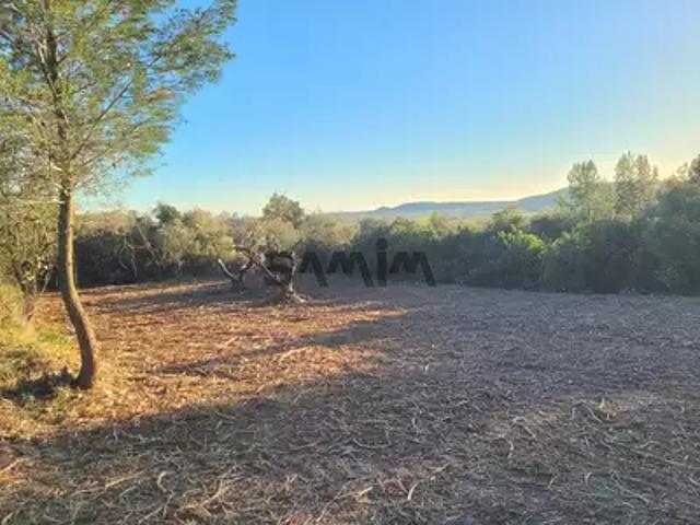 Clarensac 30870 Achat / Vente terrain