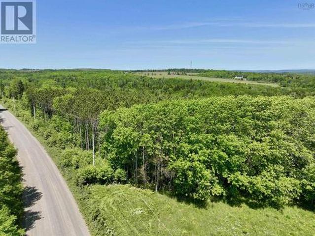 Clark Road, Bear River, NS, B0S 1B0 vacant land for sale | Listing ID 202515 | Royal LePage