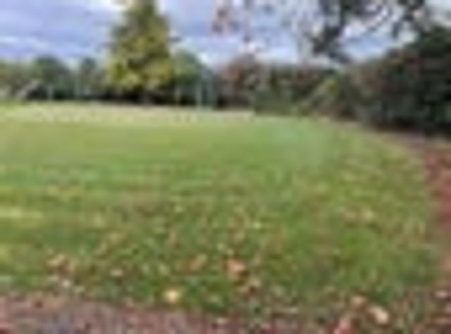 Clevedon, 4 bedrooms, $850 pw